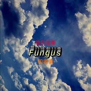 Meet your Posher, Jesse